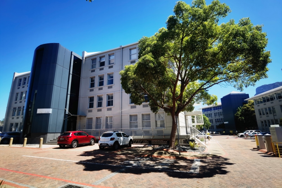 To Let commercial Property for Rent in Rondebosch Western Cape